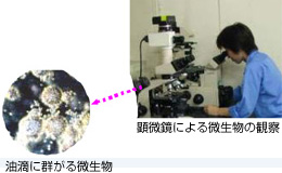 化学応用（分析・評価