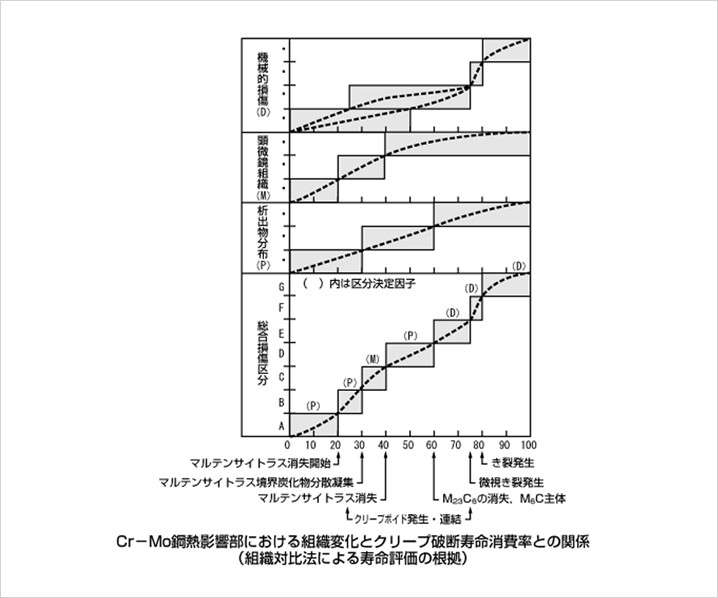 Cr-Mo鋼熱影響部における組織変化とクリープ破断寿命消費率との関係